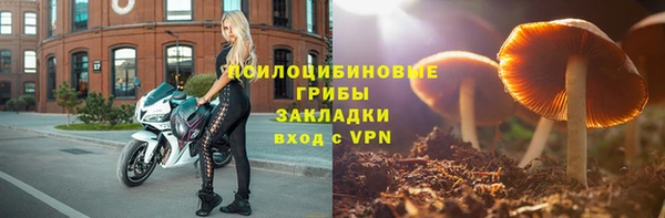 прущие крисы Лабытнанги