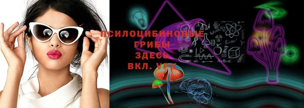 гидропоника Липки