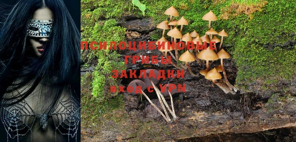 эйфоретик Лихославль