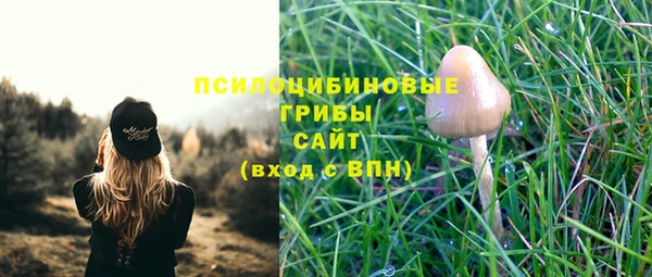 прущая мука Лиски