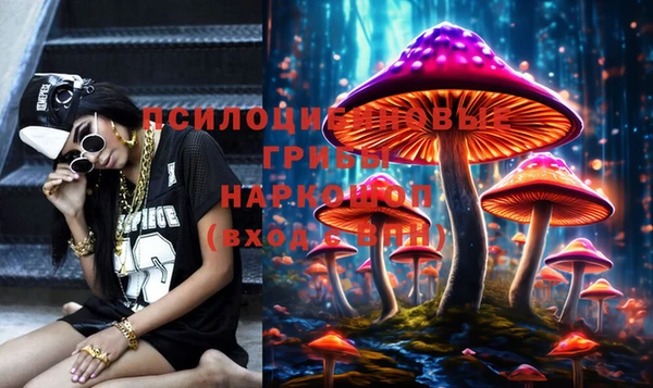 гидропоника Липки