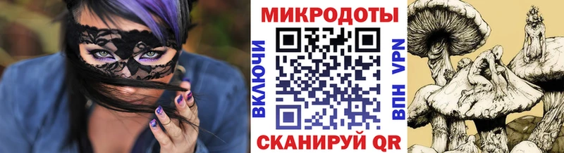 ссылка на мегу зеркало  Нововоронеж  Псилоцибиновые грибы Psilocybine cubensis 