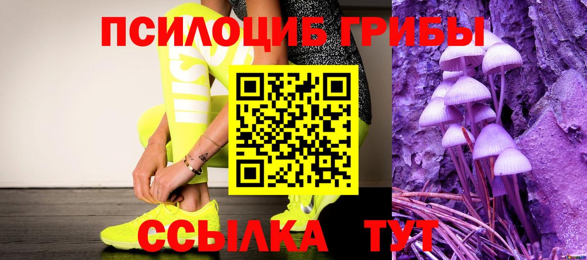 Псилоцибиновые грибы мухоморы Нововоронеж