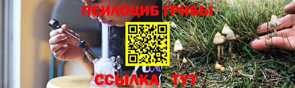 Нововоронеж  Галлюциногенные грибы Psilocybe  Галлюциногенные грибы ЛСД  Вход с VPN 