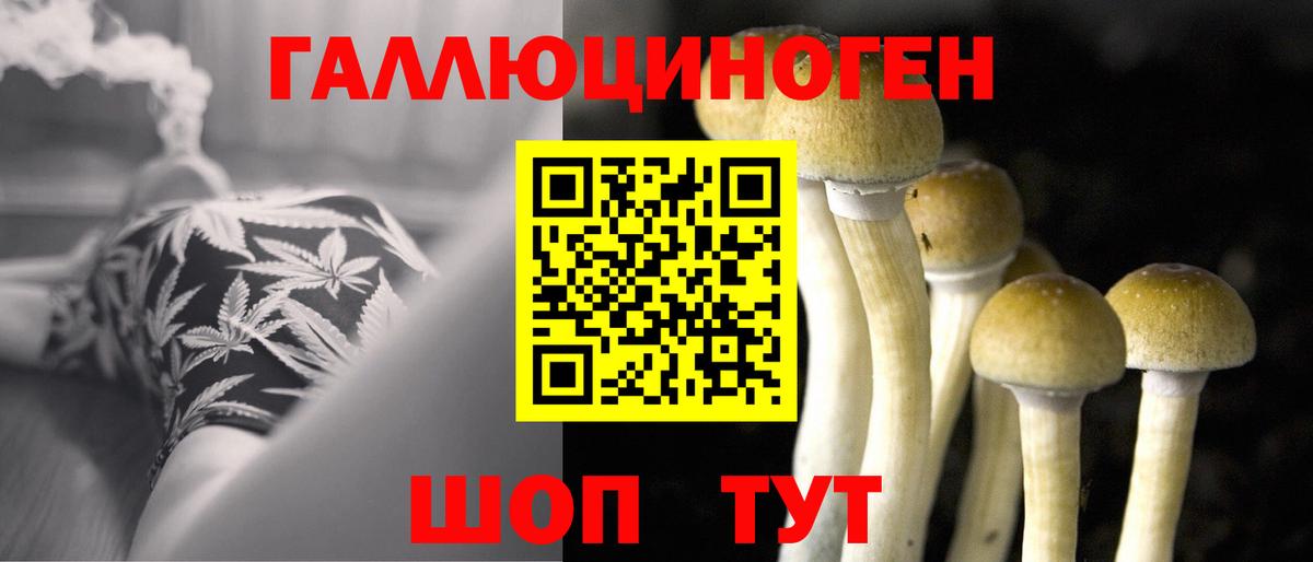 Галлюциногенные грибы прущие грибы  Нововоронеж 